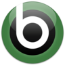 BRISKODA Logo