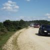 New Forest meet July 2012