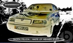 the felicia can be made of meaner stuff