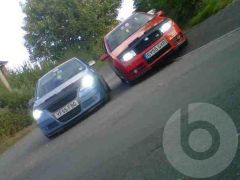 mongys polo and the skoda fabia vrs.jpg