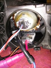 IMG 20131121 065011
