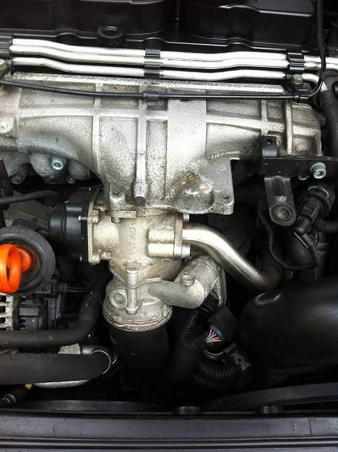 EGR cleaning