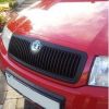 Plastidip front grill