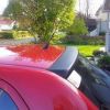 Plastidip rear wing