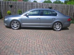 lowered superb