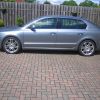 lowered superb