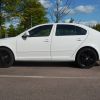 vRS Blackline