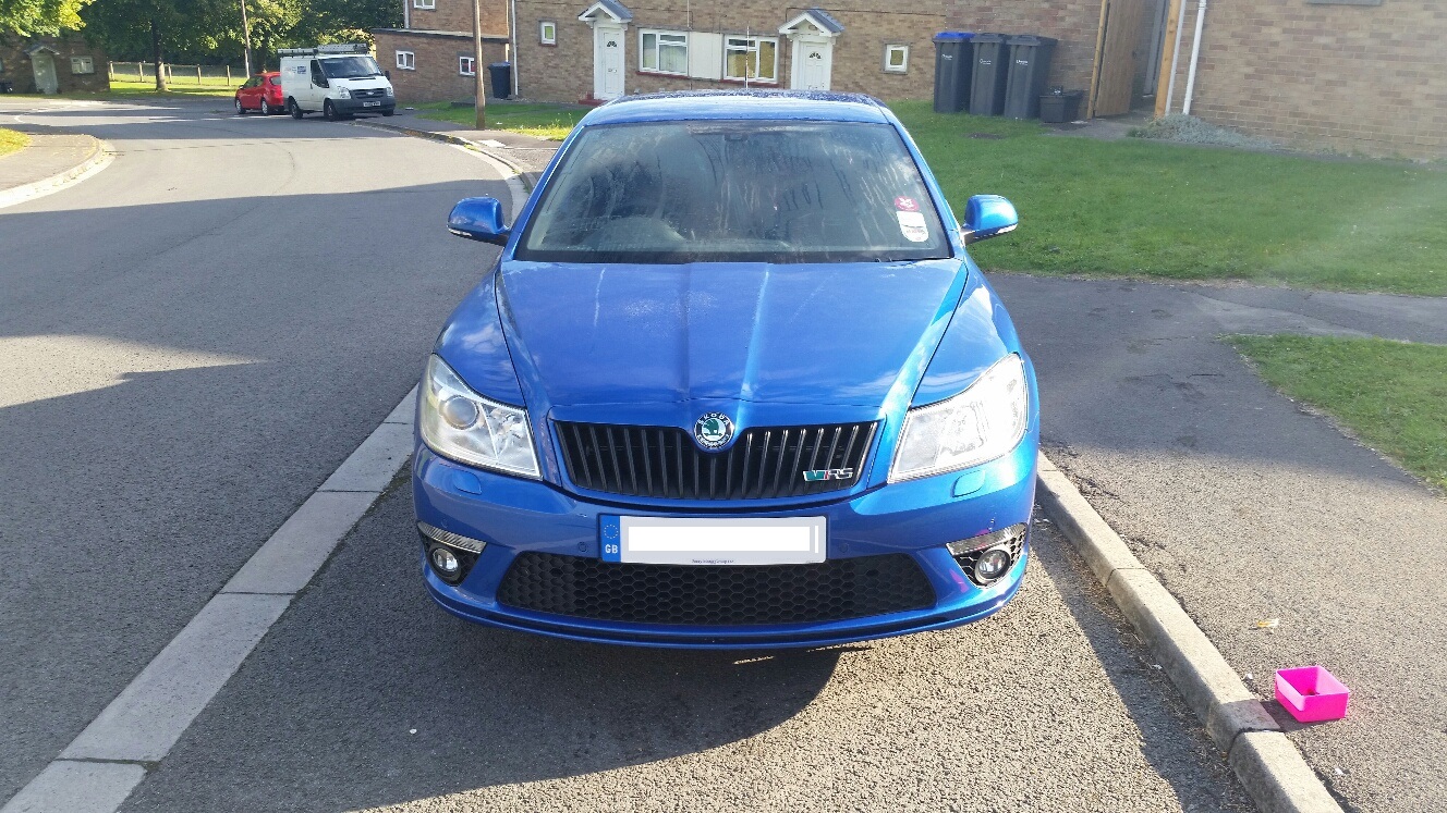 DIY Front Grille paint BRISKODA