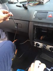 IMG 1854