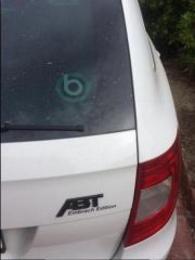 Briskoda Sticker 1