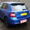 PDI Back