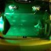 Boot Light + Speakers
