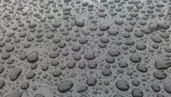 Monte Roof