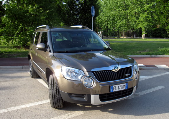 brown yeti