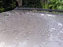 Roof beading