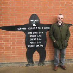 Go Gorilla Compare
