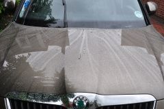 Yeti Beading 3