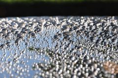 Beading4