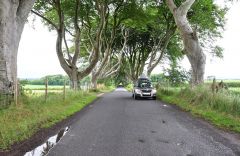 Dark Hedges