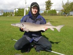 Sturgeon
