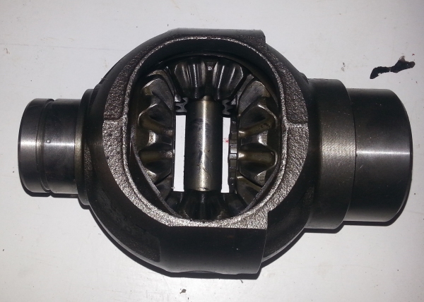 gallery_31625_7_66916.jpg