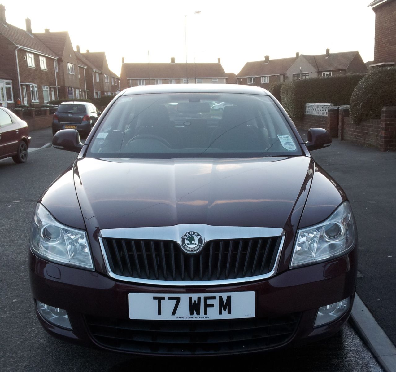 My Octavia