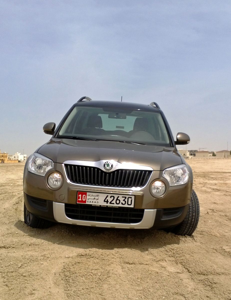 Subbu's Yeti from Abu Dhabi