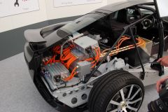 Electric Lotus