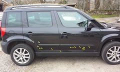 Drivers side paint defects/ zinc inclusion