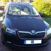 Skoda 1