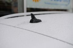 DSC_4374.jpg