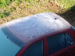 Skoda art