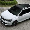 2015 skoda fabia combi - rendered with colored tint, wheels, brakes, mirror caps
