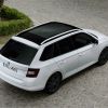 2015 skoda fabia combi - rendered with colored tint, wheels, brakes, mirror caps