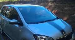 Citigo Stripe