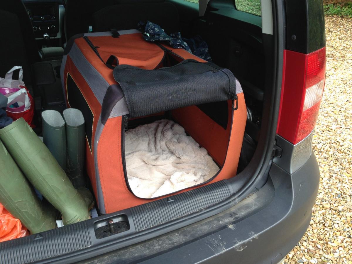 Guardsman dog guard and divider Skoda Yeti BRISKODA