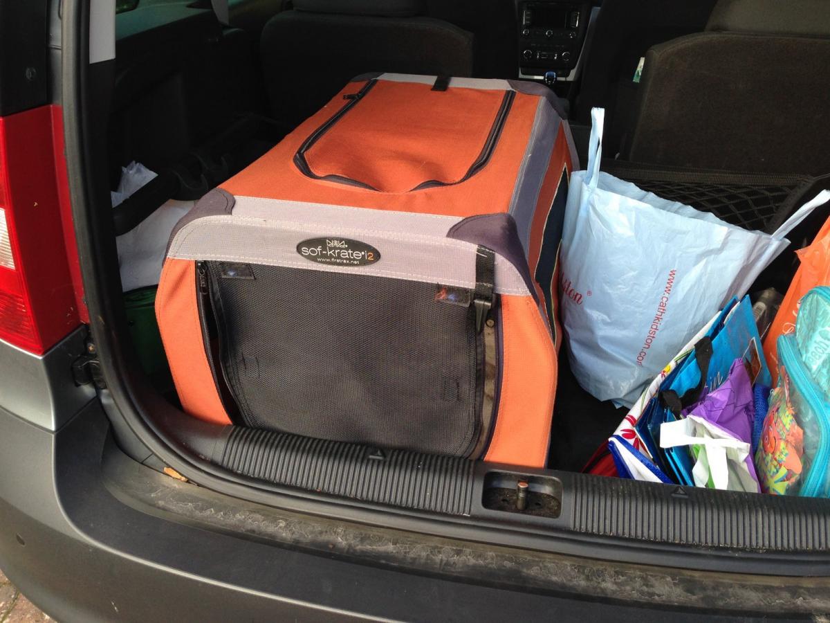 Guardsman dog guard and divider Skoda Yeti BRISKODA