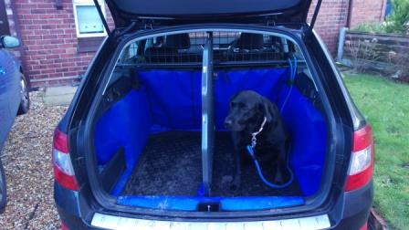 Boot Divider Skoda Octavia Mk III 2013 2020 BRISKODA