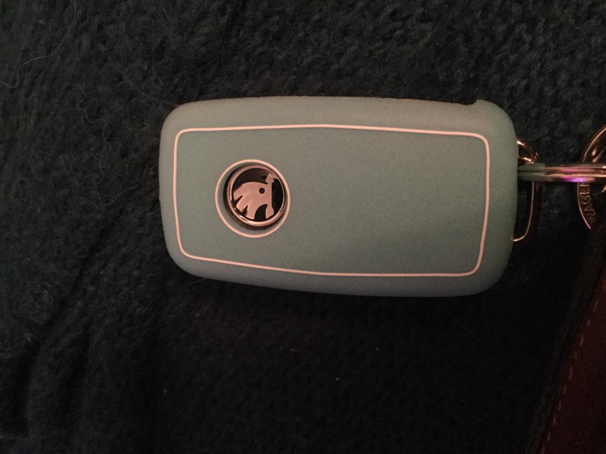 Sasha's Citigo Monte Carlo