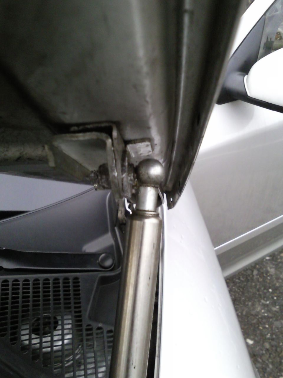Bonnet lifter struts!