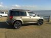 Yeti by the Seaside.jpg