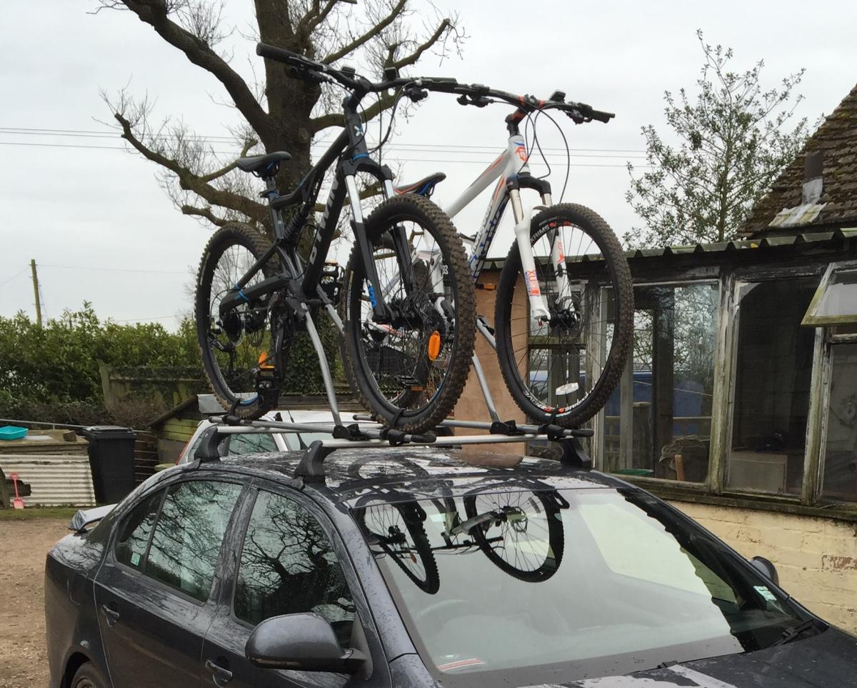cruz bici rack