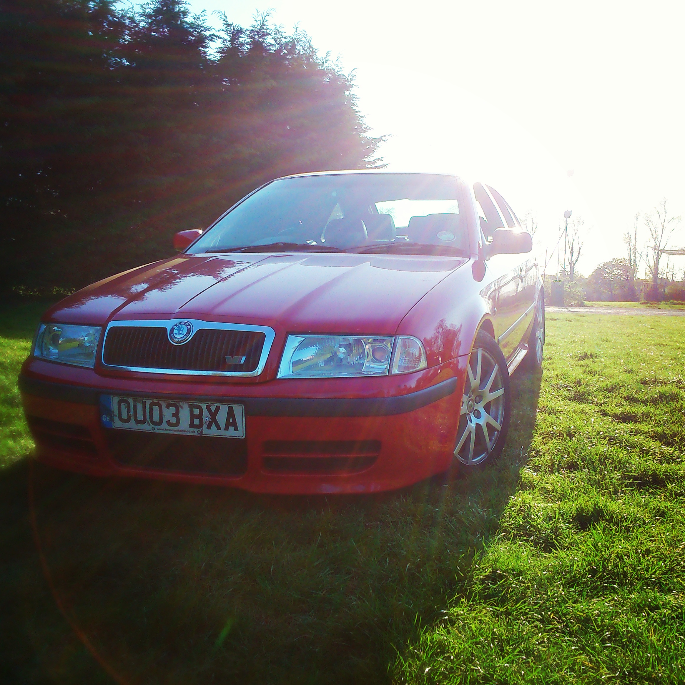 Opie the red daily MK1 VRS