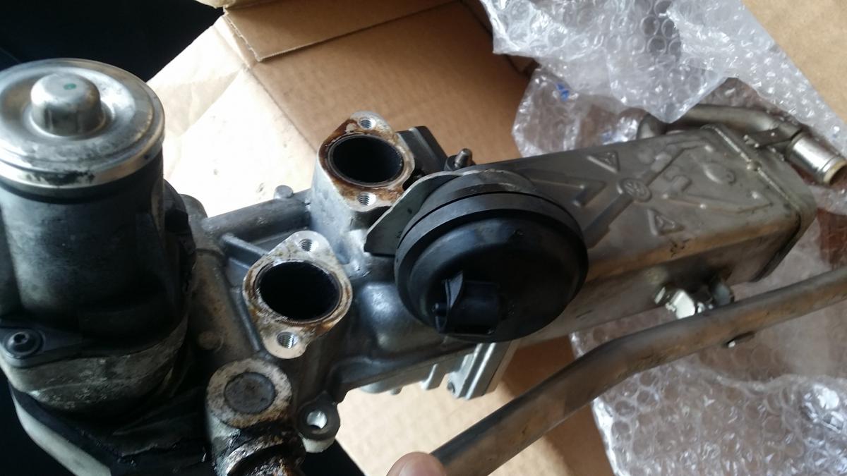 EGR problems - valve or sensor? Fault P046C00 + P040700 ... skoda octavia ii wiring diagram 