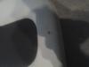 msg-98204-0-39992800-1413189937_thumb.jp