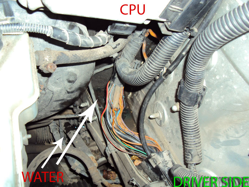 Water leaks into the hood