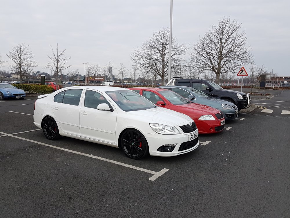 Aarons Octavia 6.jpg