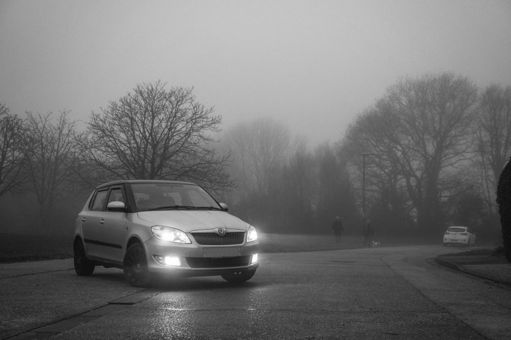 Fabia.jpg