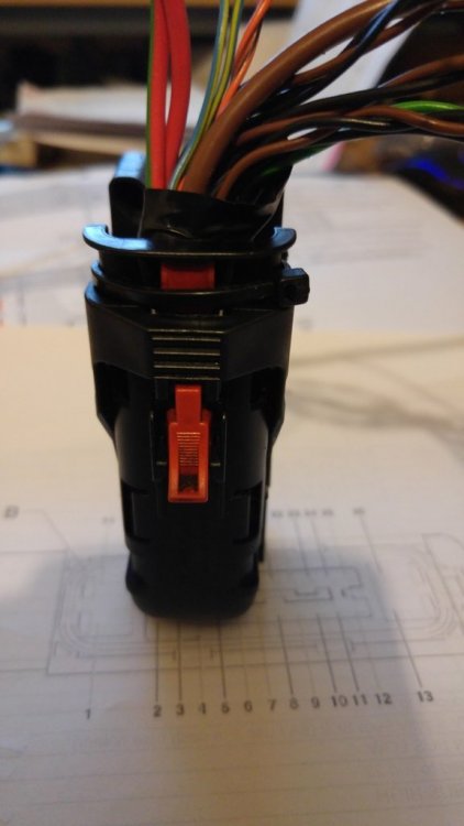 img1.jpg