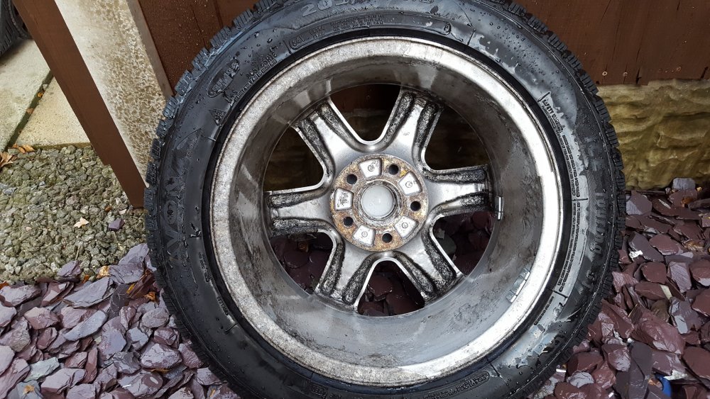 Wheel 4 Back.jpg